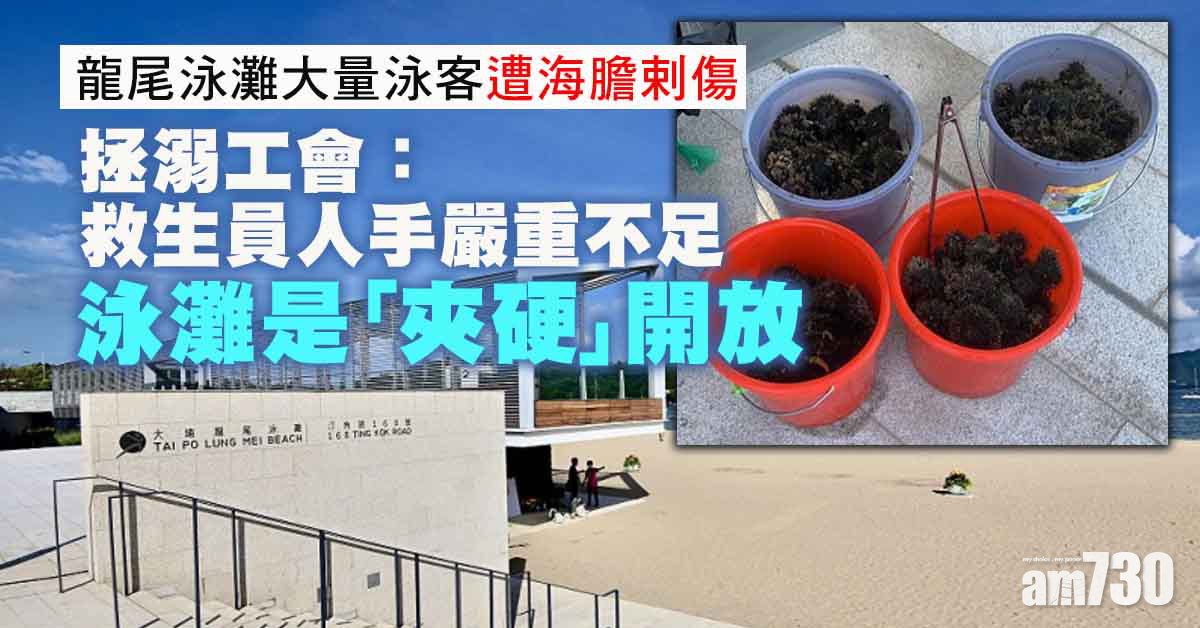 龍尾泳灘大量泳客遭海膽剌傷　拯溺工會：救生員人手嚴重不足