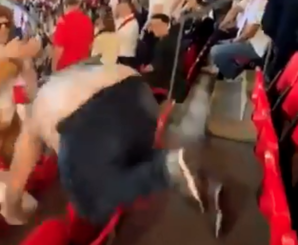 歐國盃｜英格蘭贏波 重量級裸男興奮打氣 碌落觀眾席 (有片)