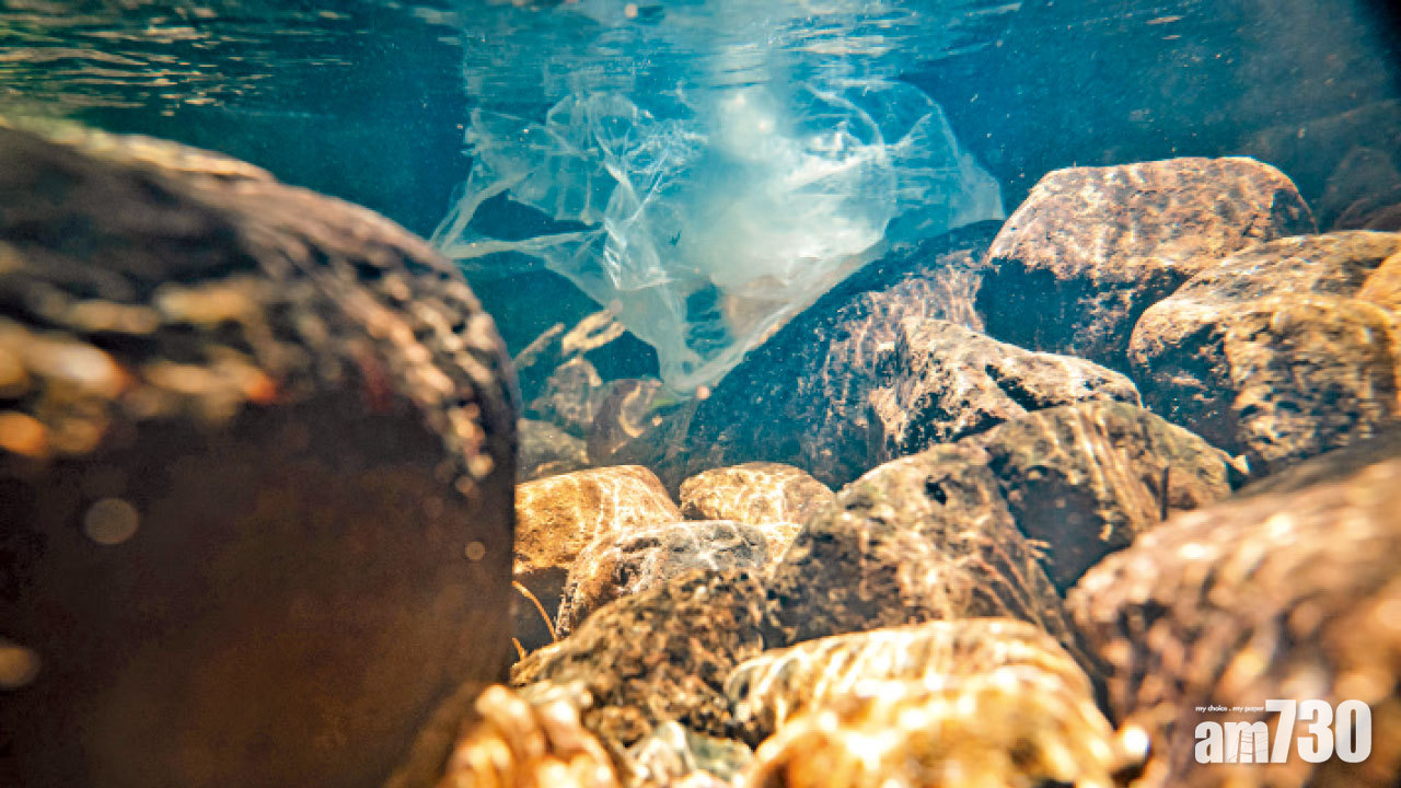 源頭減廢 微塑膠入侵郊野溪澗 半數溪流水樣本受污染