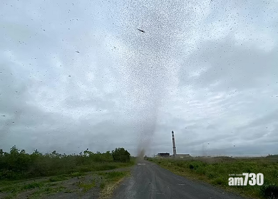 奇景｜俄羅斯現龍捲風 睇真D原來係數百萬隻飛蚊 (有片)
