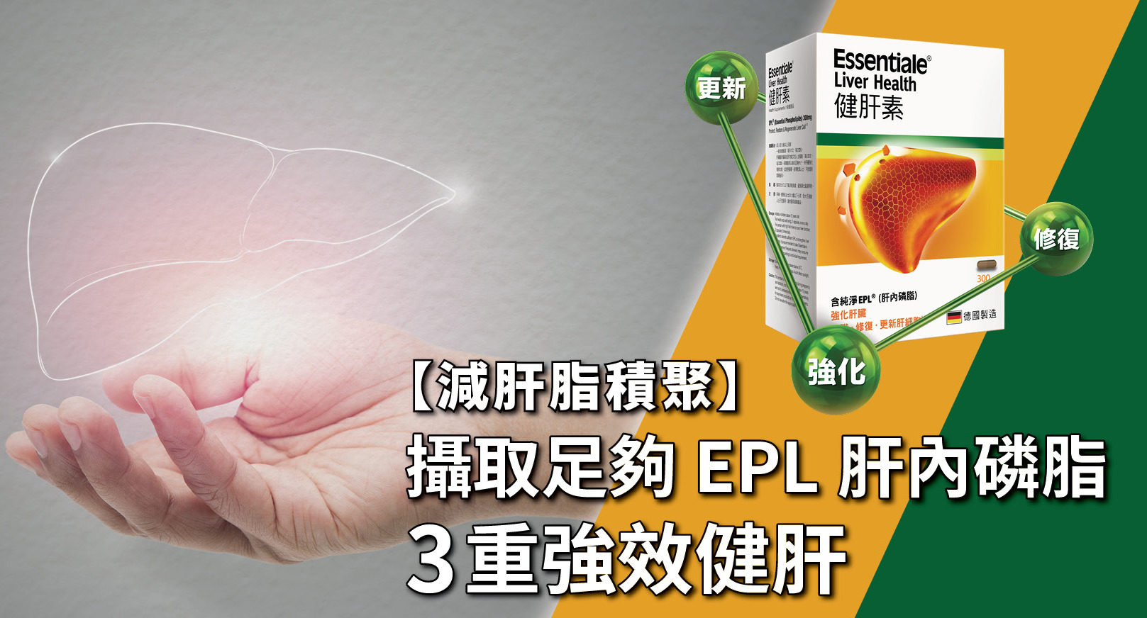 【減肝脂積聚】攝取足夠EPL肝內磷脂 3重強效健肝