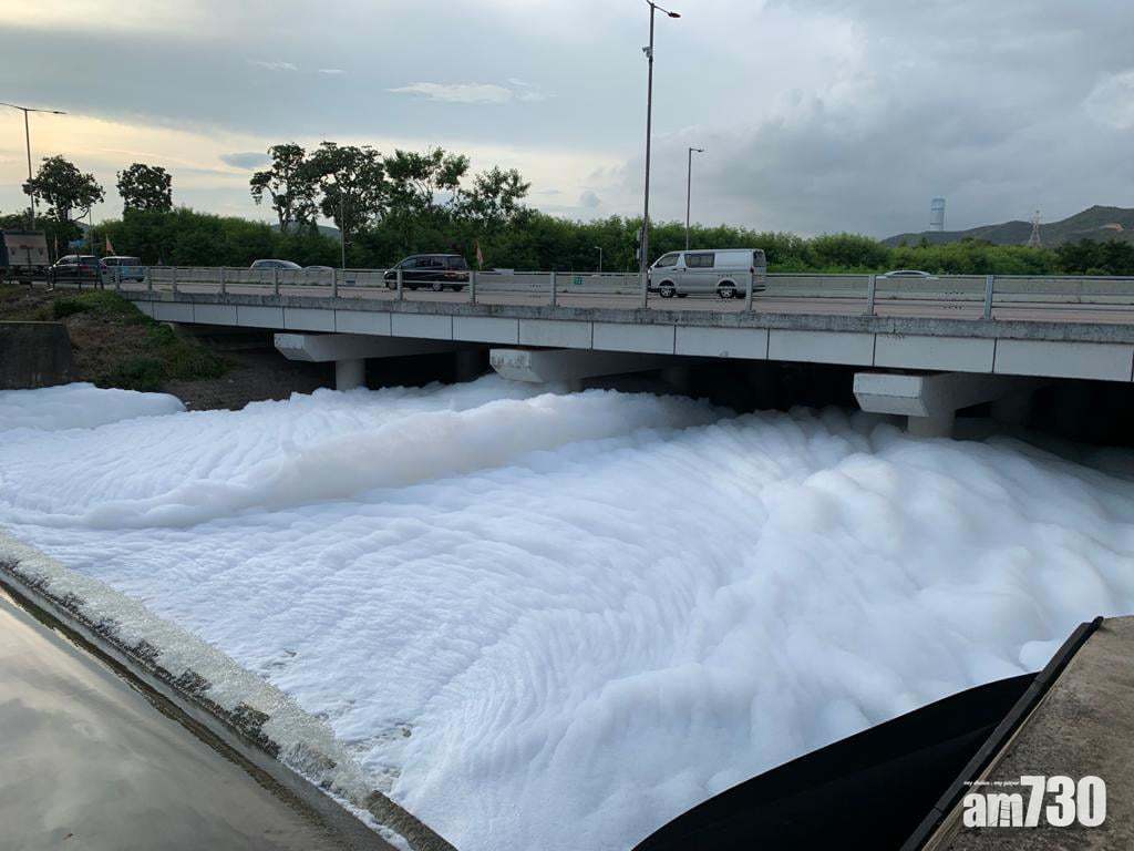 上水雙魚河湧現白泡覆蓋河面　環保署已抽取樣本化驗