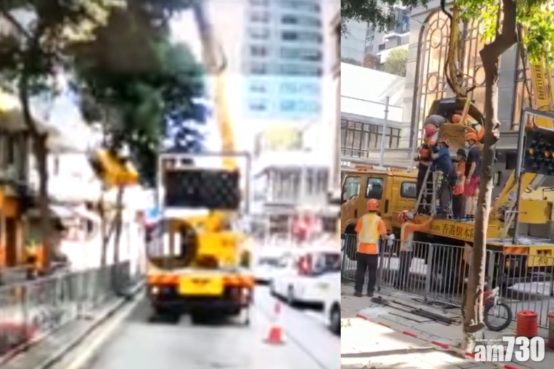 修樹奪命工傷｜吊臂斷裂釀致命事故　廠商：升降台疑遭改裝