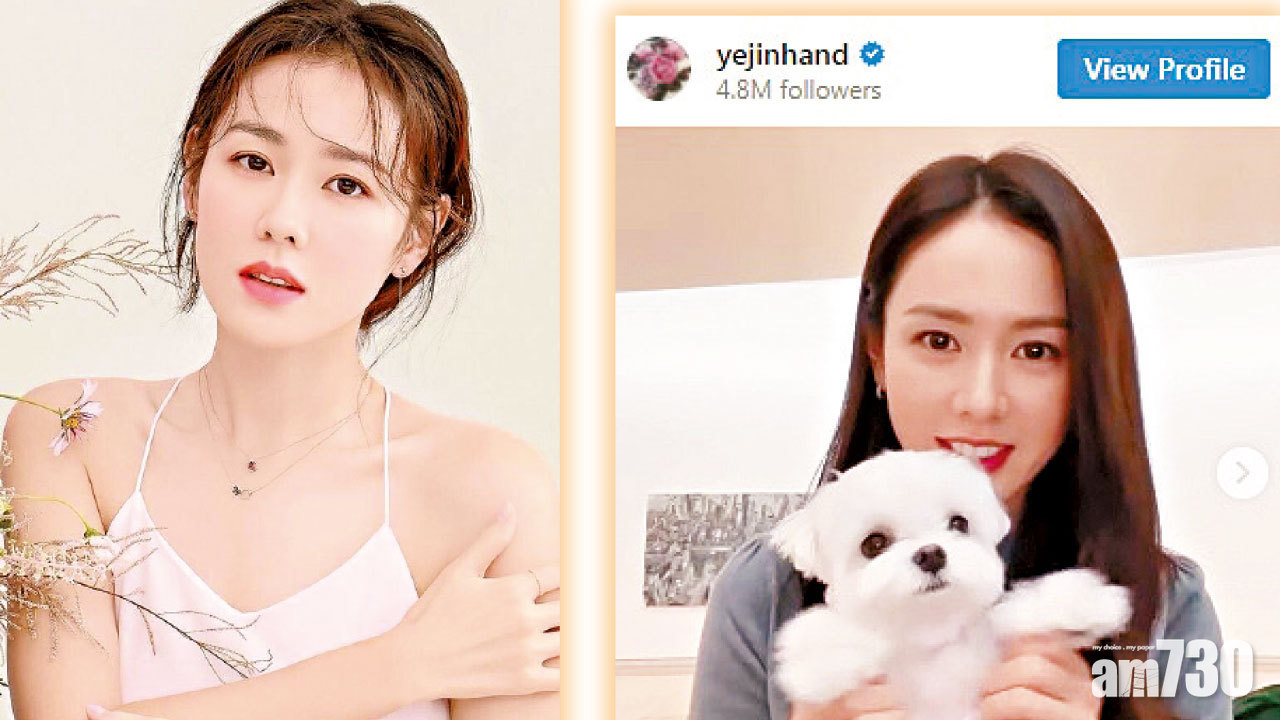 孫藝珍愛犬短片勁可愛