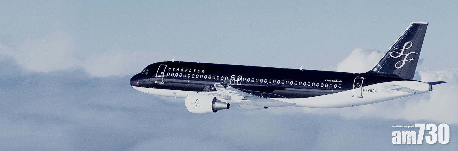 日本廉航計劃讓寵物跟飛　料明年實行僅限國內線