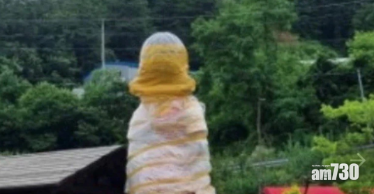 魷魚遊戲｜123木頭人遭打包禁打卡