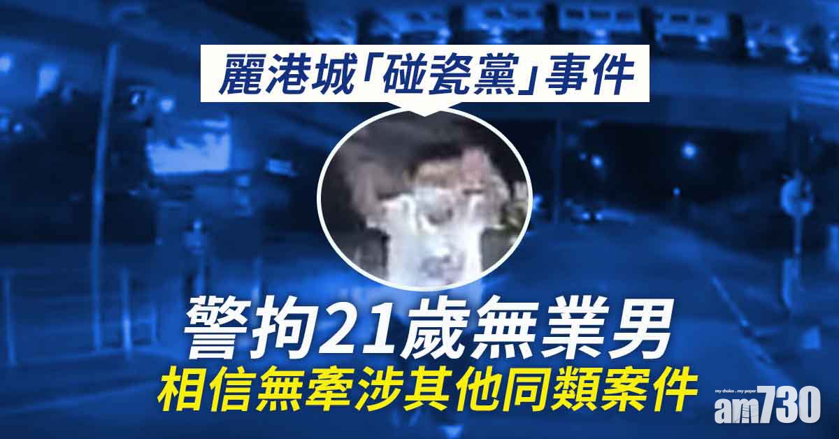 麗港城「碰瓷黨」事件  警拘21歲無業男