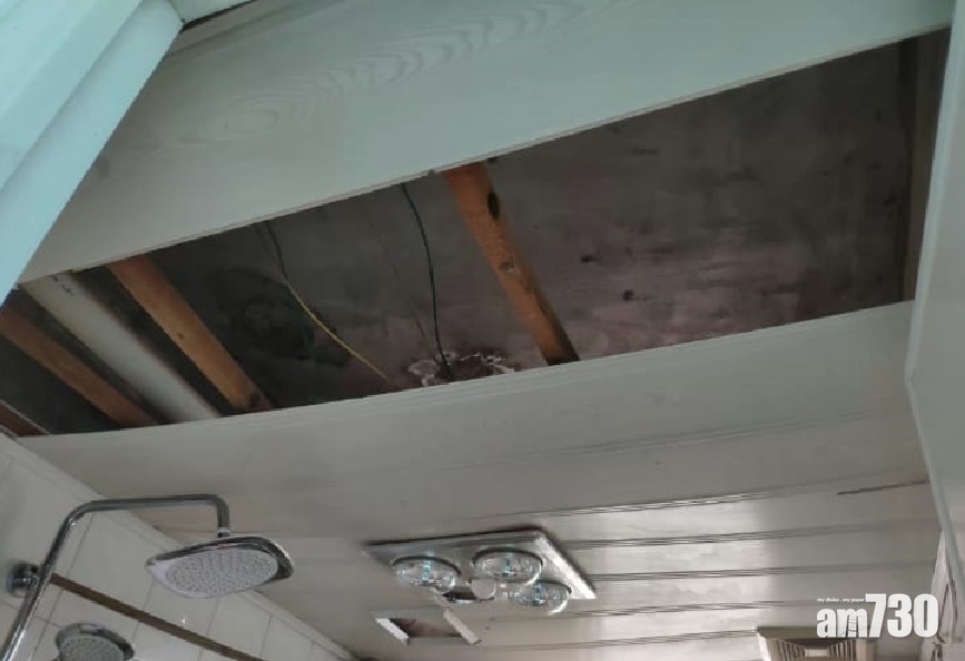 網上熱話｜貓咪躲屋頂假天花塌下   網民︰夠鐘裝修