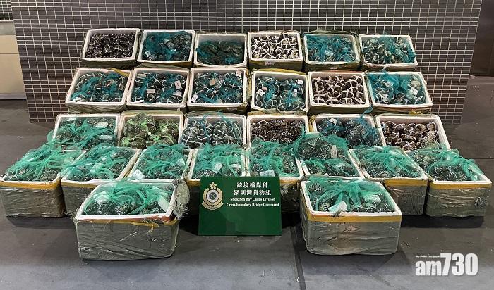 海關兩關口搜獲逾1.4萬隻大閘蟹　市值約140萬