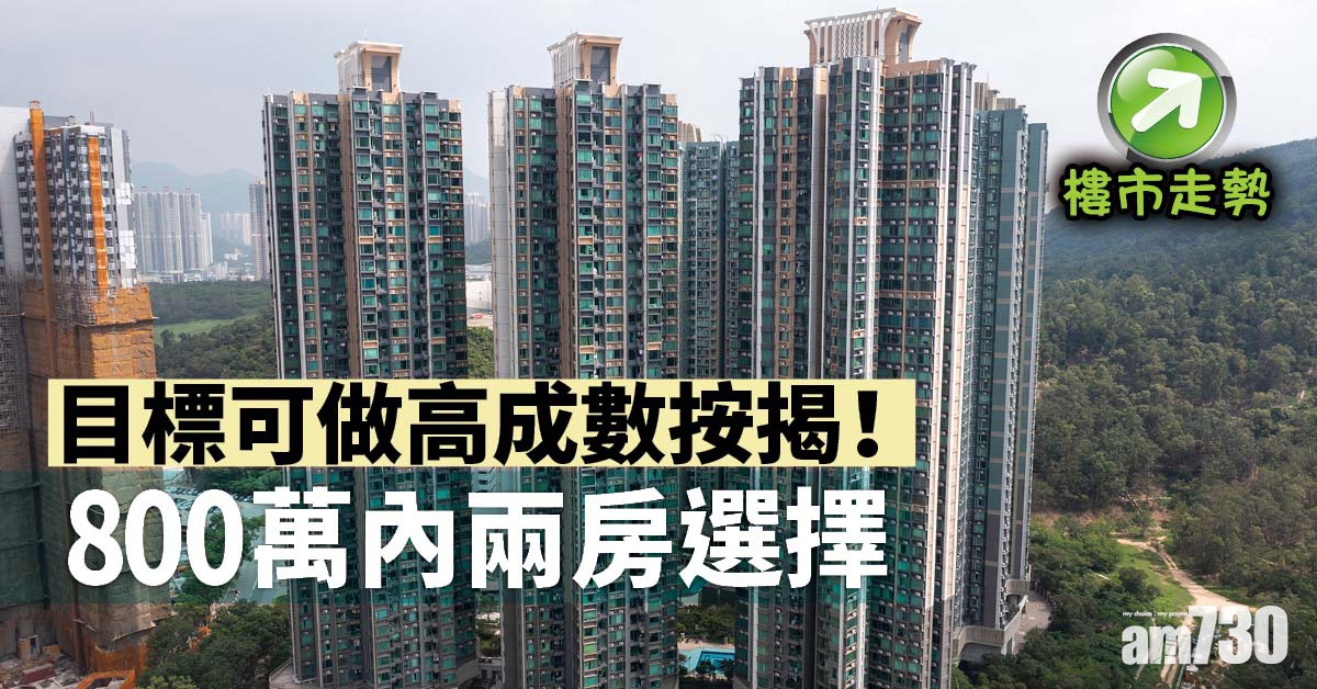 樓市走勢｜目標可做高成數按揭！800萬內兩房選擇
