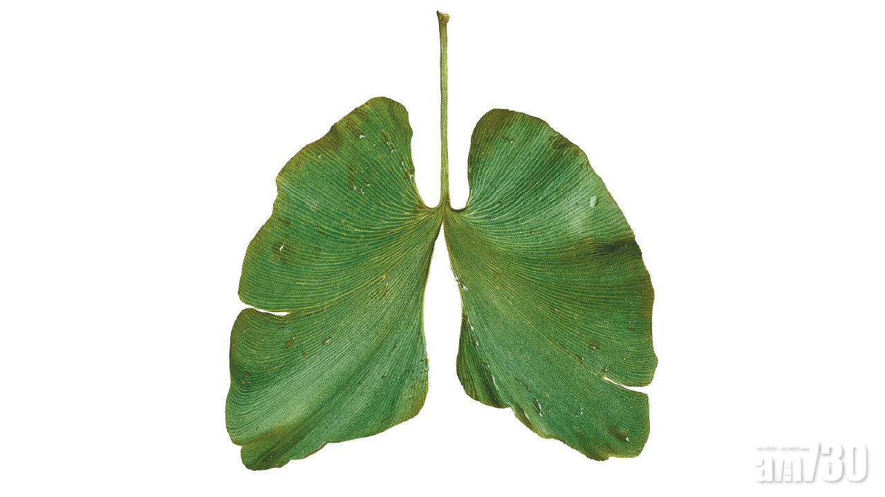 肺癌篩查 隨時救你一命