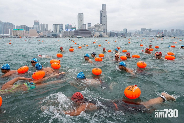 泳總會長拒評「香港加油」是否政治標語　專家關注選手聚集安排