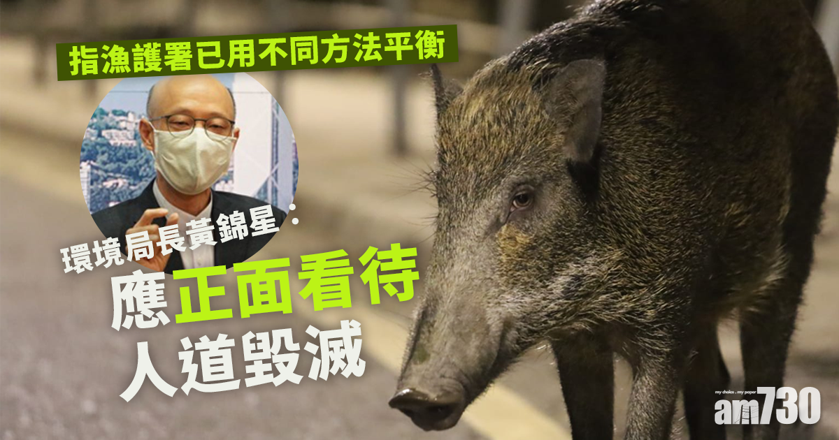 殺豬令｜指漁護署已用不同方法平衡　黃錦星：應正面看待人道毀滅