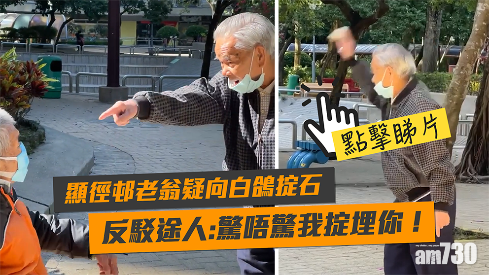 有片｜顯徑邨老翁疑向白鴿掟石　反駁途人：驚唔驚我掟埋你