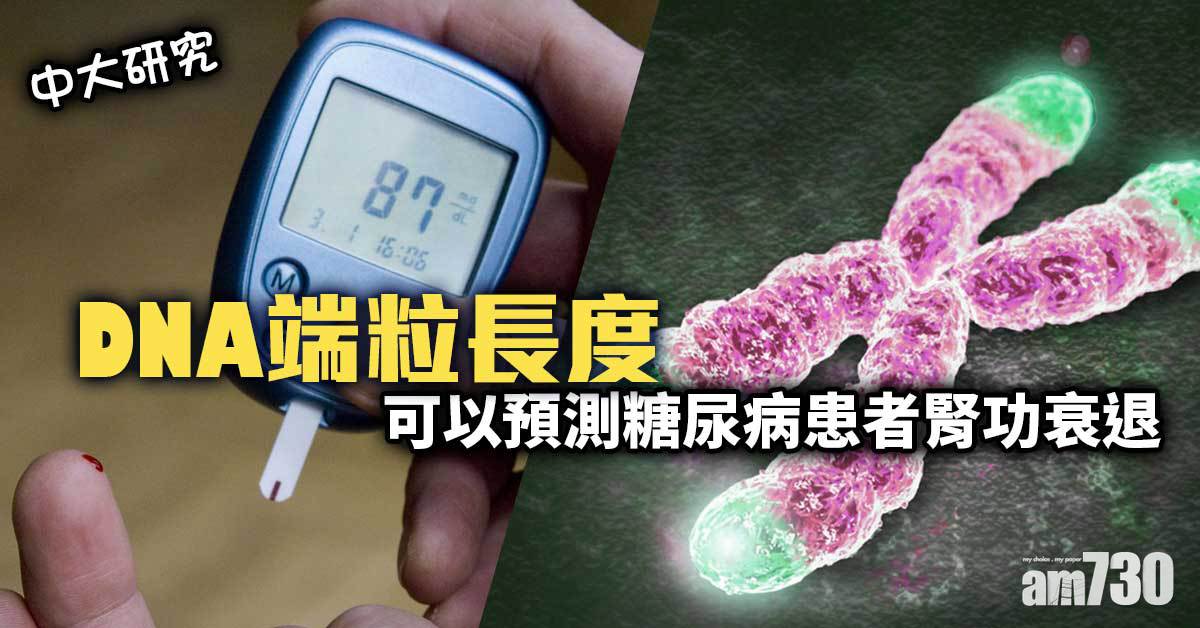 中大研究｜DNA端粒長度 預測糖尿病患者腎功衰退