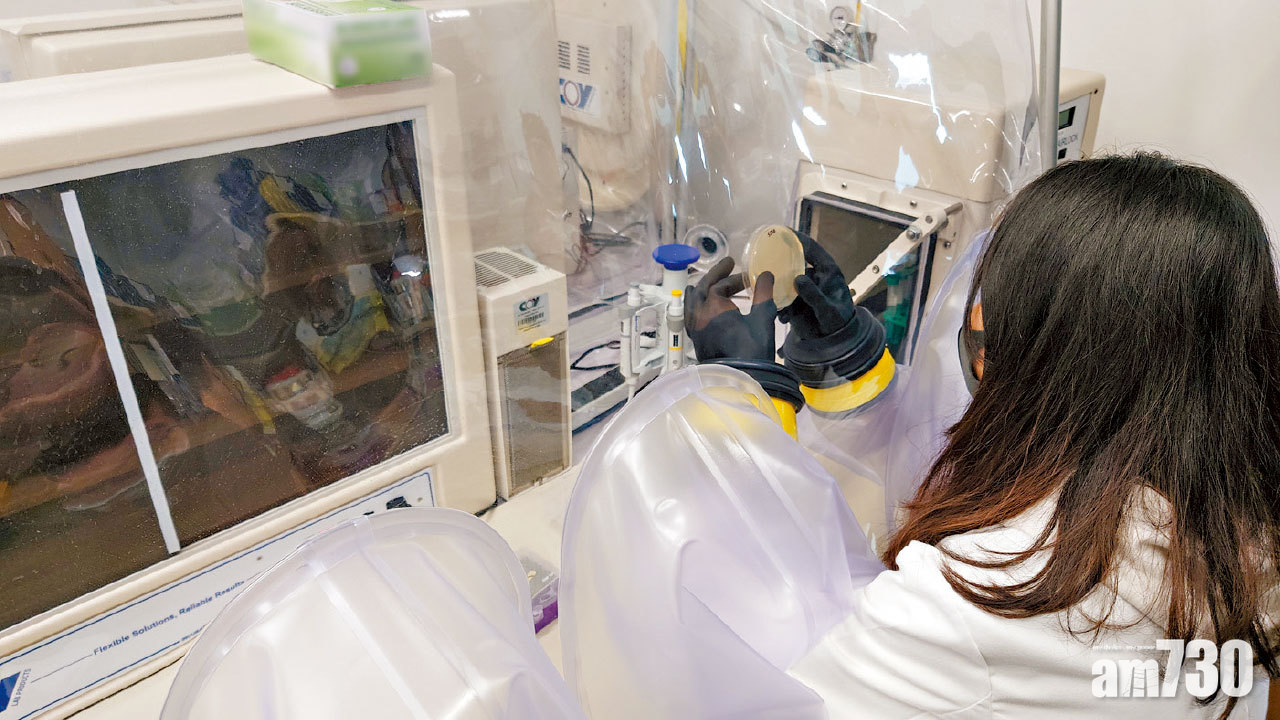 中大研究 轉化臨床應用