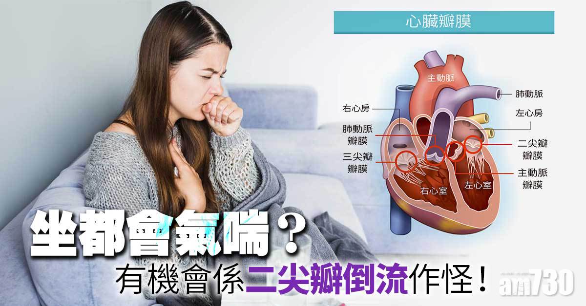 坐都會氣喘？或二尖瓣倒流作怪