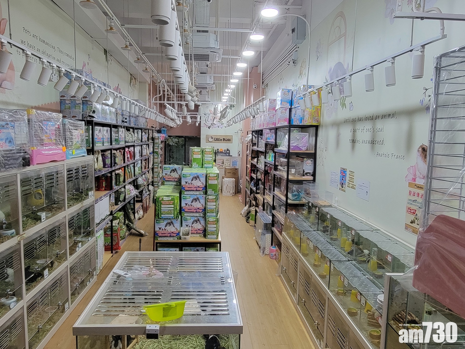 強制檢測｜譚仔KFC吉野家及黃大仙多處上榜　42個指明地點納公告 (附日期時間)