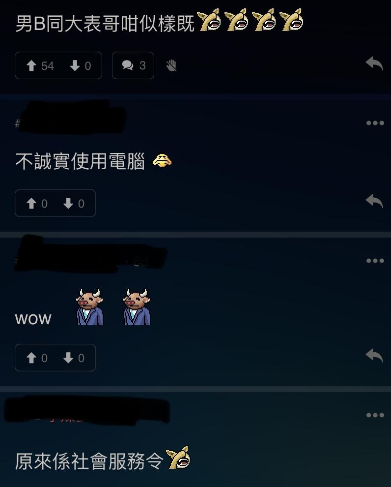 有網民為陳湛文平反,證實確有帖文指「男B同大表哥咁似樣既。