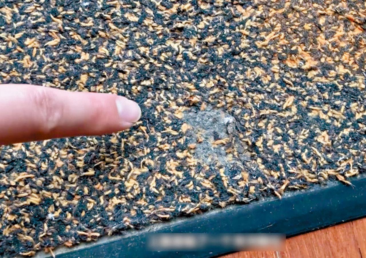 長白山豪華滑雪酒店