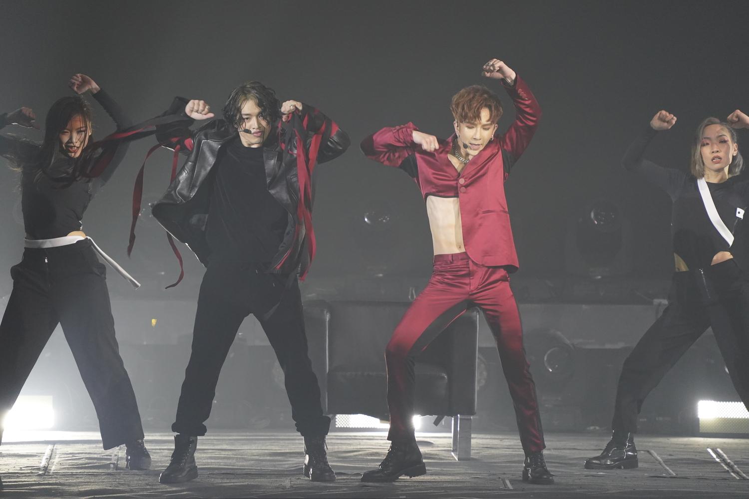 屬豬藝人有Anson Lo。