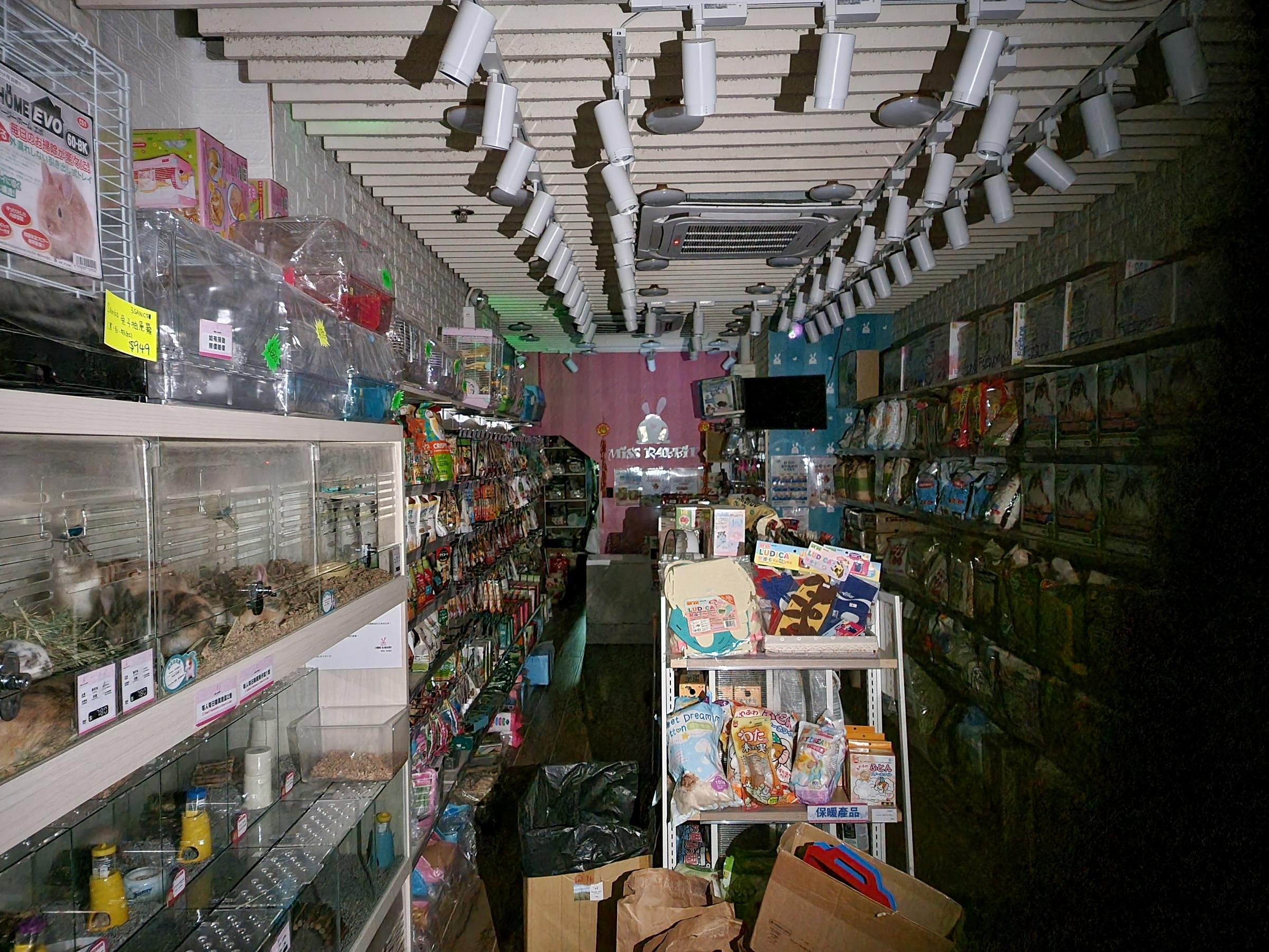 有售倉鼠的寵物店須關閉。(資料圖片/林俊源攝)