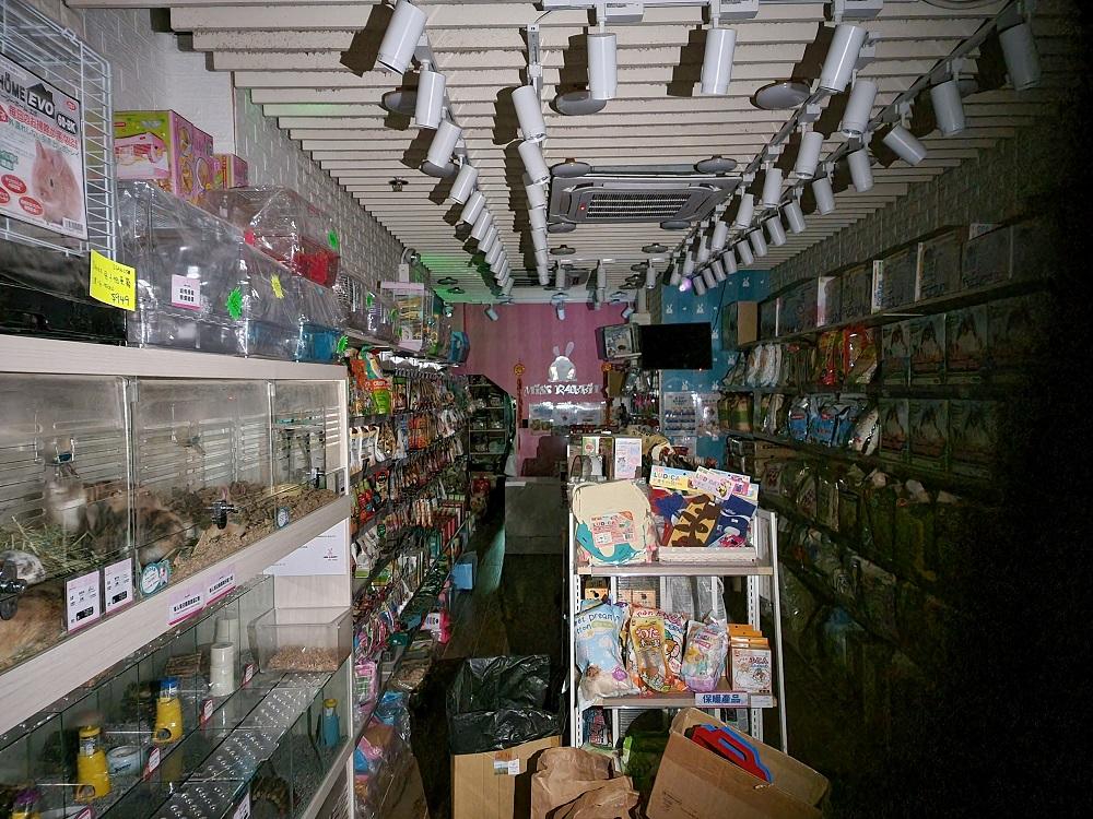 約30間可售賣倉鼠的寵物店今起可恢復營業。(資料圖片/林俊源攝)