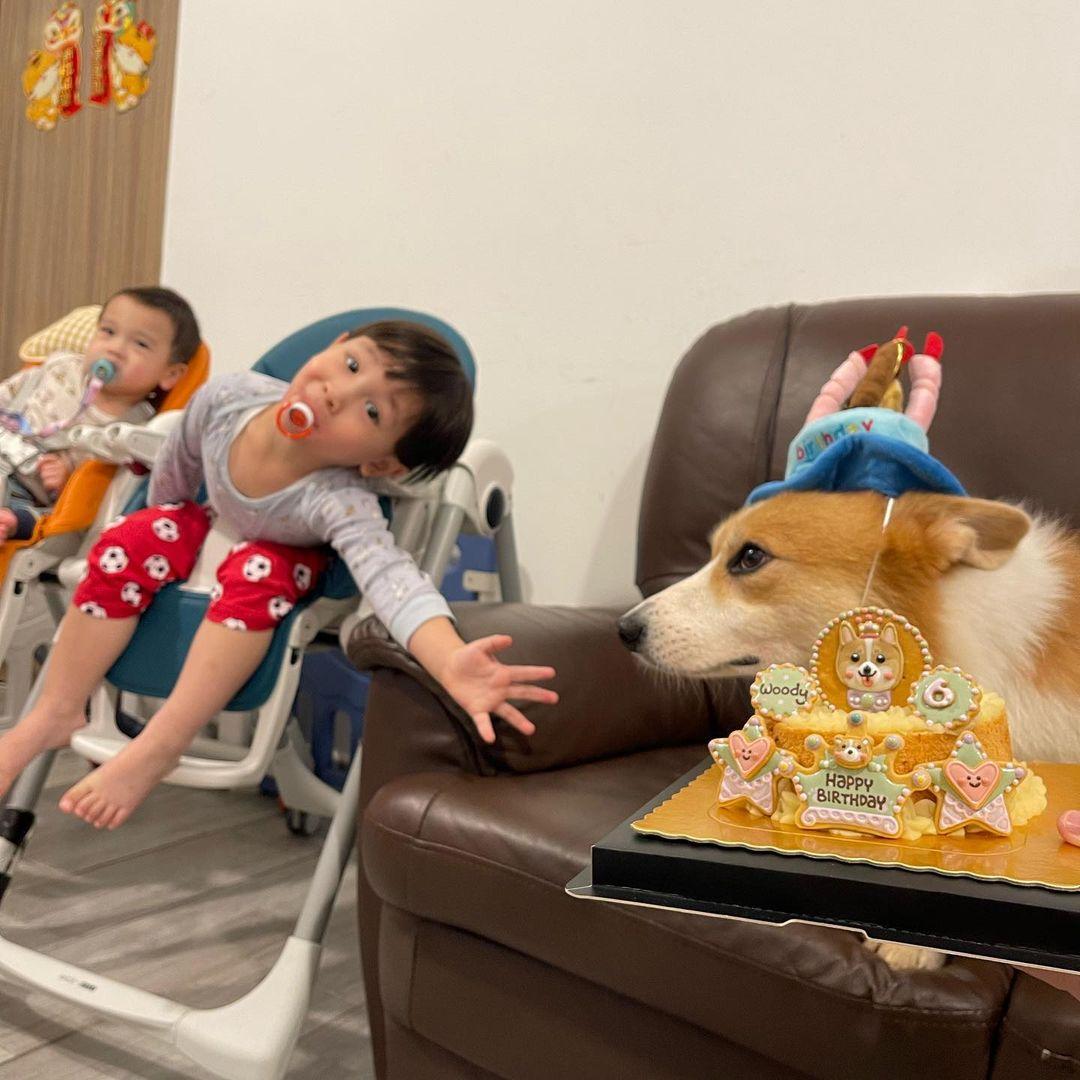 張致恒與雯雯的愛犬生日。