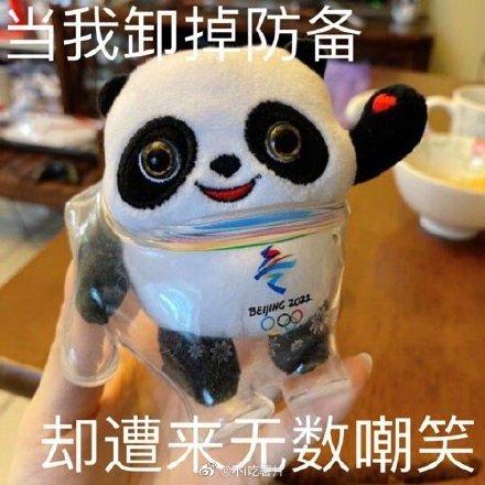 有網民將「壞掉」的冰墩墩改成迷因圖。(互聯網)