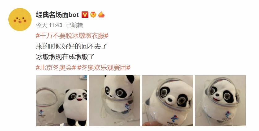 有網民脫了冰墩墩的「冰外衣」後,沒辦法將冰墩墩塞回原樣。(互聯網)