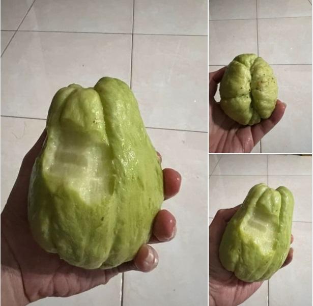 涉事網民表示,啃了5口才發現不是番石榴。(互聯網)