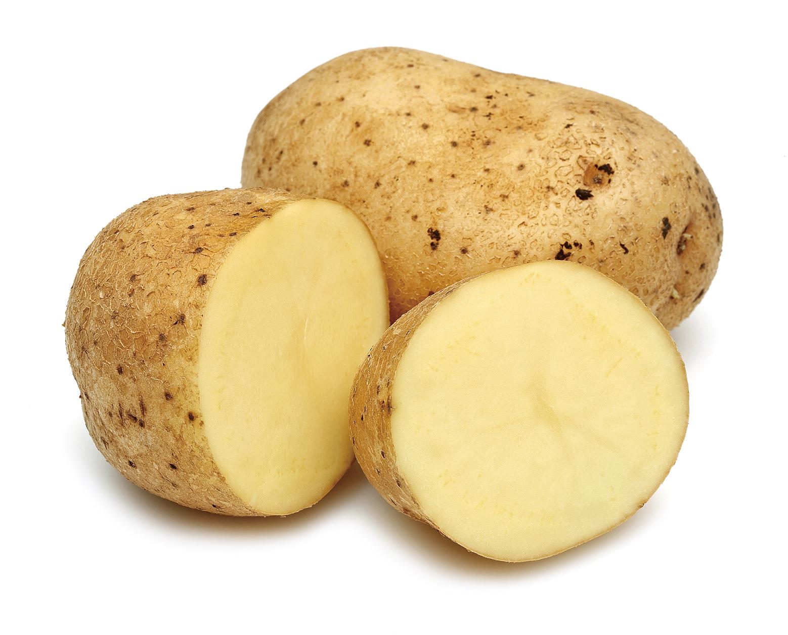 薯仔放雪櫃會更容易發芽。