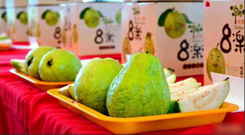 芭樂外表與佛手瓜有幾分相似,但屁股明顯不一樣。(互聯網)