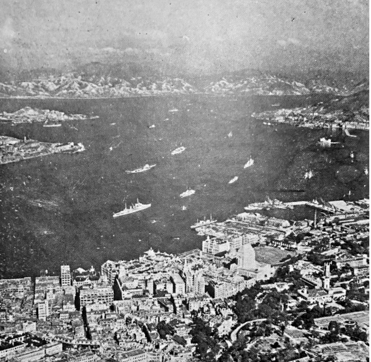 香港年報年鑑熱門收藏