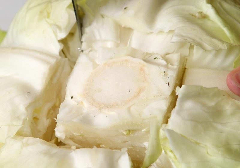 椰菜的保鮮方法: 椰菜的芯易腐壞,可先去除菜芯並塞入沾溼的廚房紙,裝入膠袋內放冰箱冷藏,存放時將芯的部份朝下。