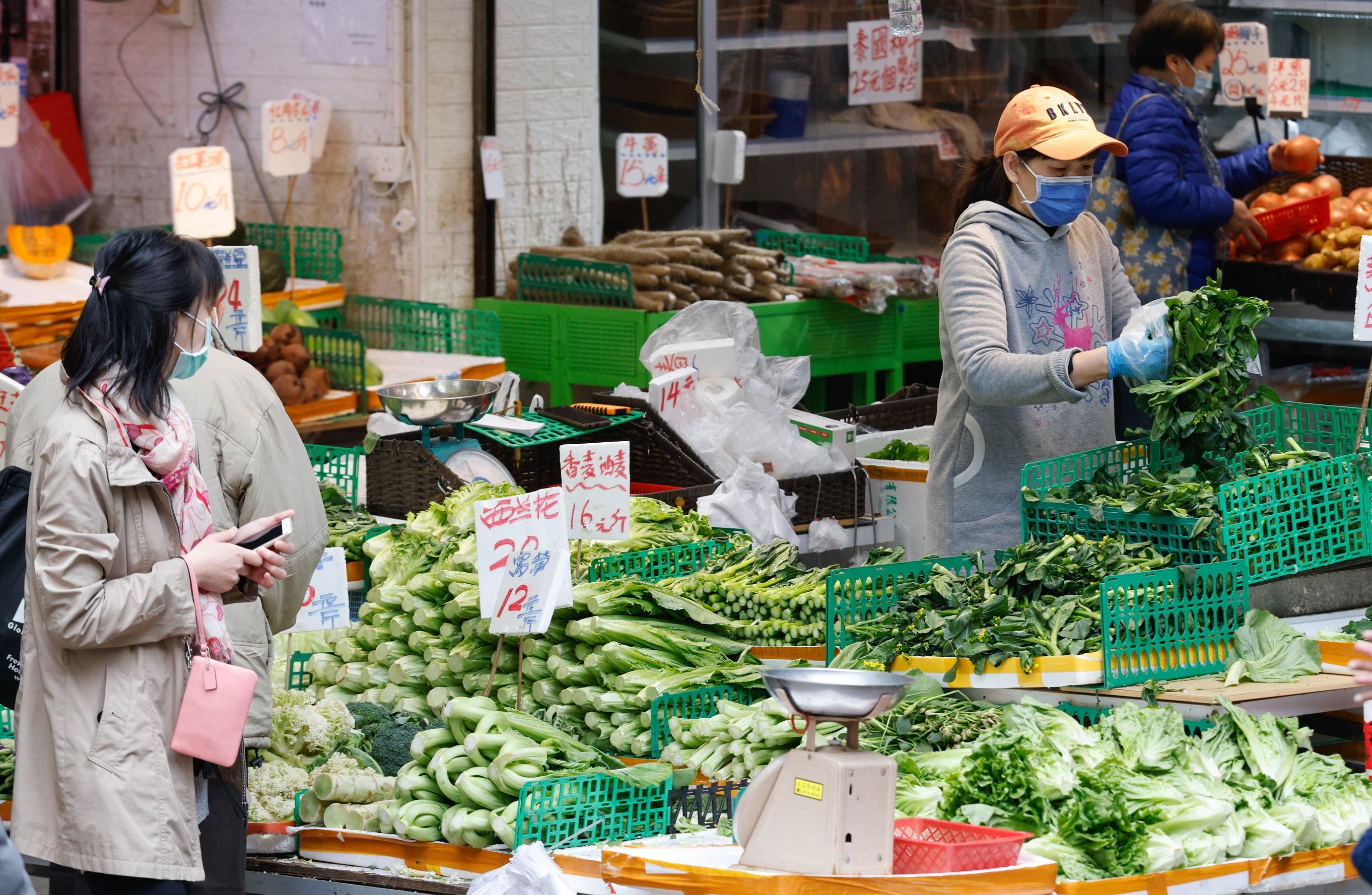 入口蔬菜價格飈升。(資料圖片/蘇文傑攝)