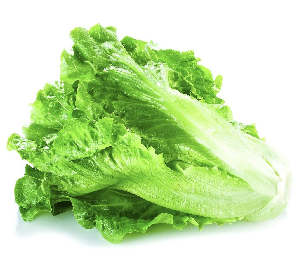 生菜的保鮮方法: 可將菜芯挖除,然後將沾濕的廚房紙巾塞入菜芯處讓生菜吸收水份,等到紙巾比較乾時就將紙巾拿掉,將生菜放入密封保鮮袋中,重新放入冰箱內冷藏,就可恢復爽脆口感。剛買的生菜可以在芯的切口處塗上乾麵粉,然後用沾濕的廚房紙巾包裹起來,再放入冰箱內冷藏,約可保鮮1星期。