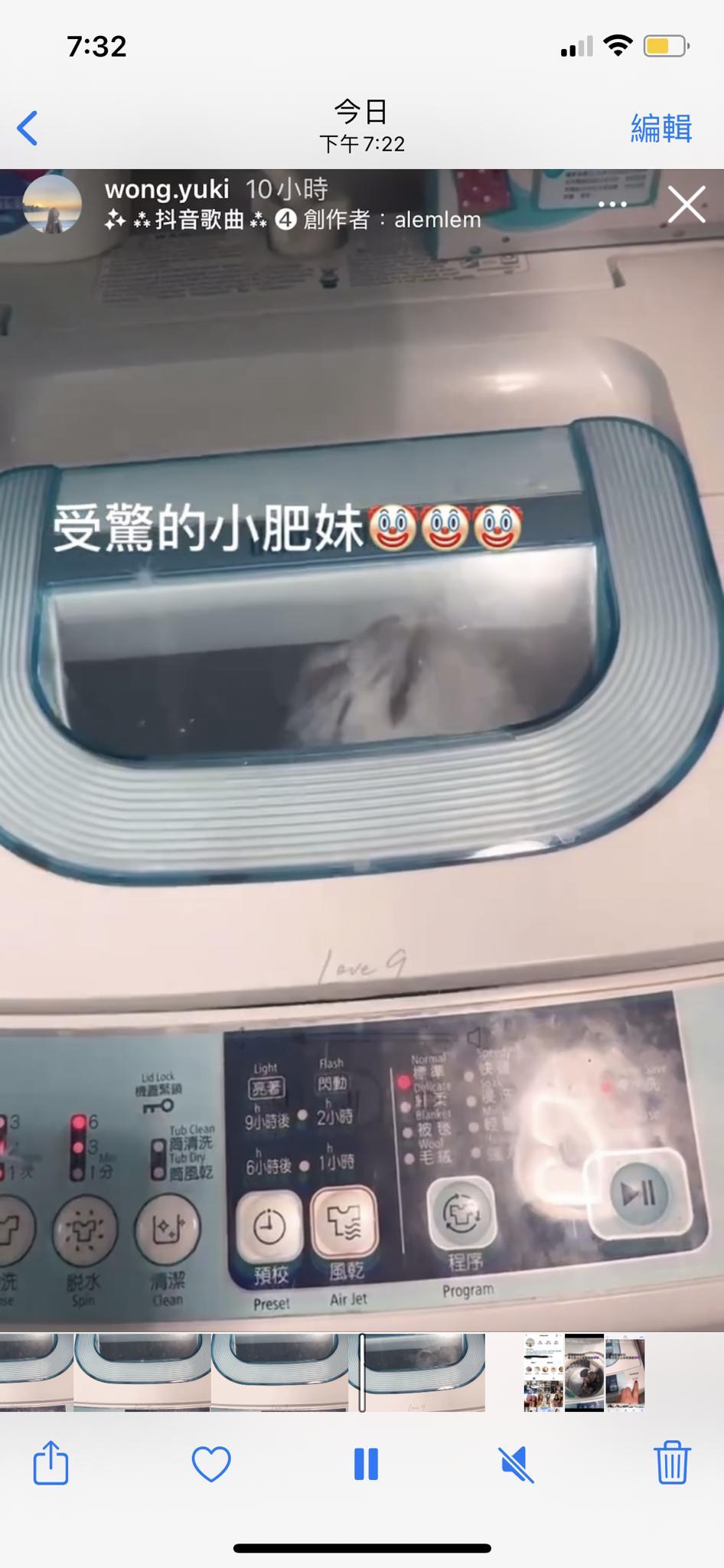 前港姐冠軍黃嘉雯胞姐黃綺婷(黃圈所示)虐貓罪成,判處80小時社會服務令。