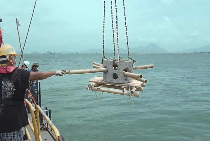 機管局, 三跑, 三跑工程, 人工魚礁