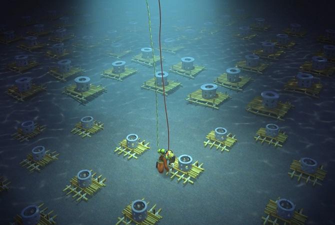 機管局, 三跑, 三跑工程, 人工魚礁