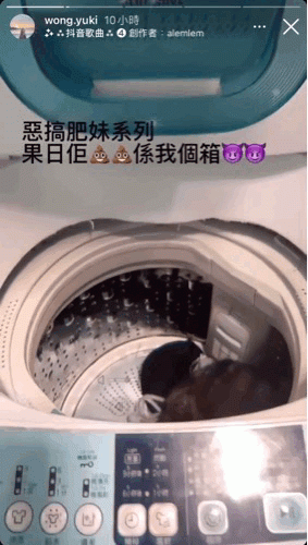 前港姐冠軍黃嘉雯胞姐黃綺婷(黃圈所示)虐貓罪成,判處80小時社會服務令。