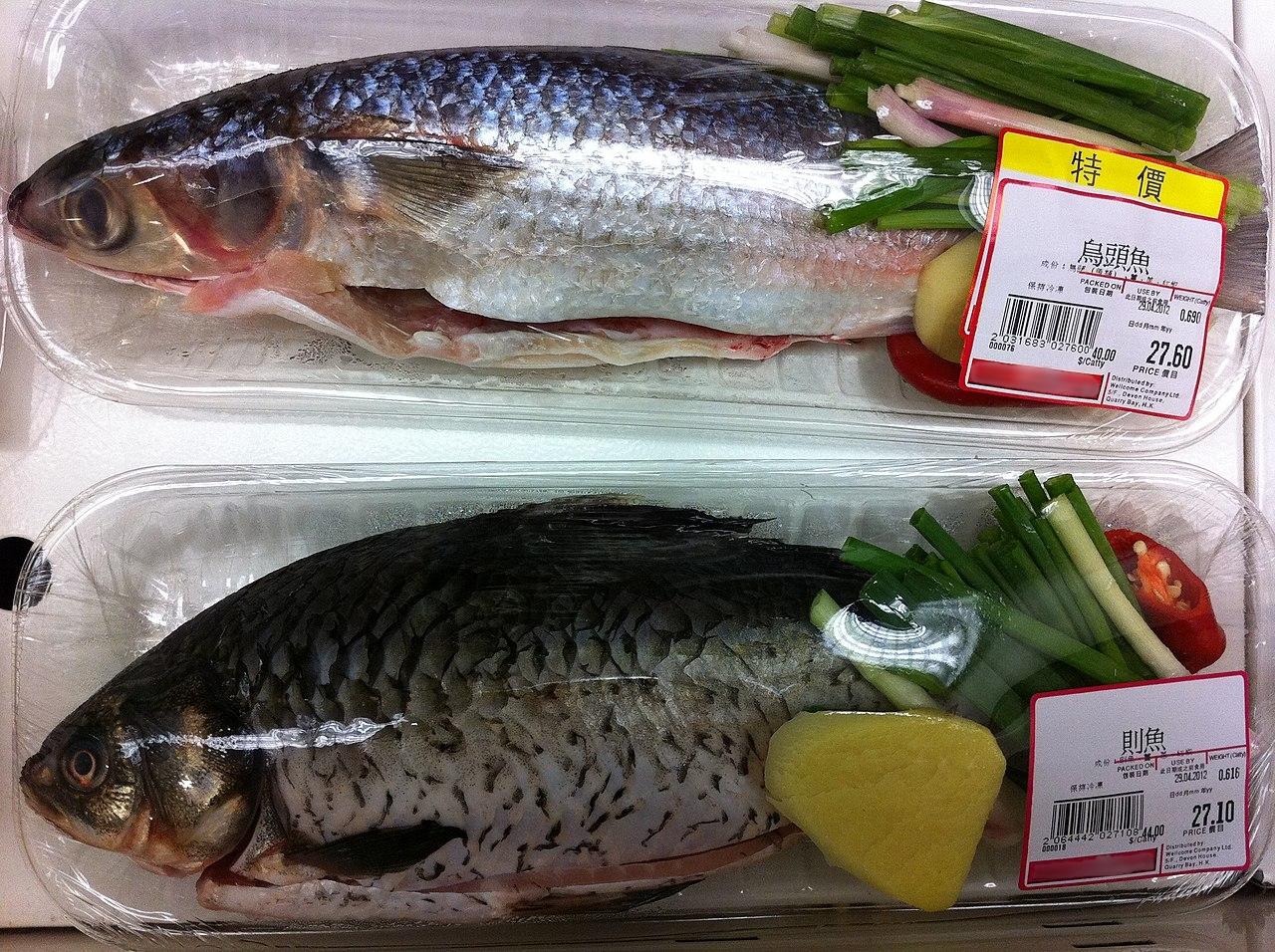 魚類