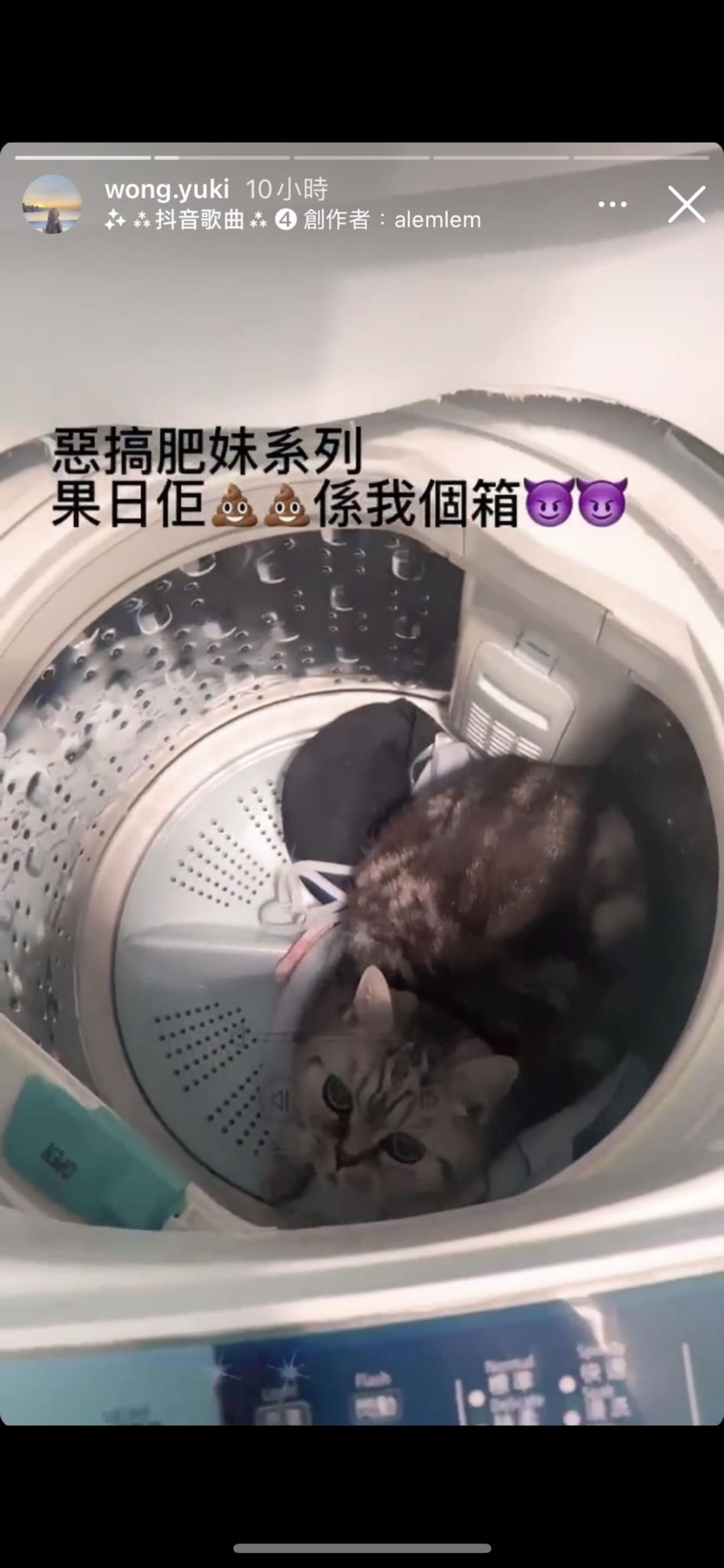 前港姐冠軍黃嘉雯胞姐黃綺婷(黃圈所示)虐貓罪成,判處80小時社會服務令。