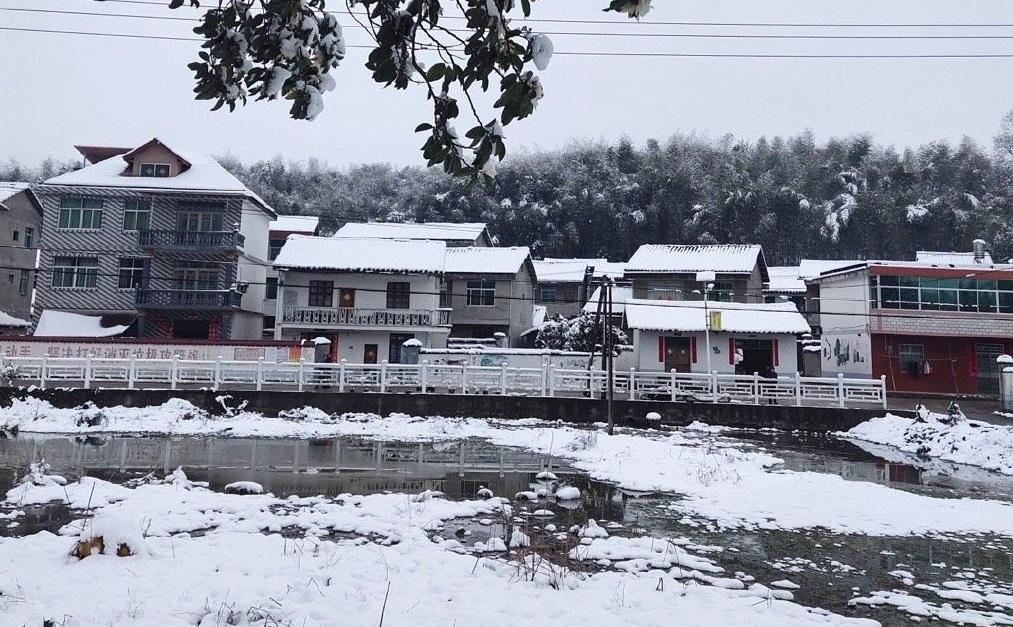 福建南平落大雪,美景如畫。(互聯網)