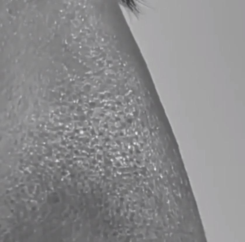 鼻子近鏡,如果是彩色的話,可能看到很多黑頭。