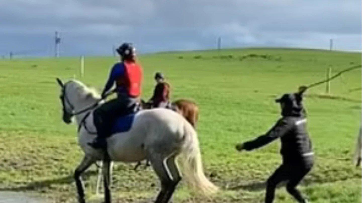 2面奧運金牌得主的Mark Todd被拍到用棒打馬匹，他事後道歉。(影片截圖)