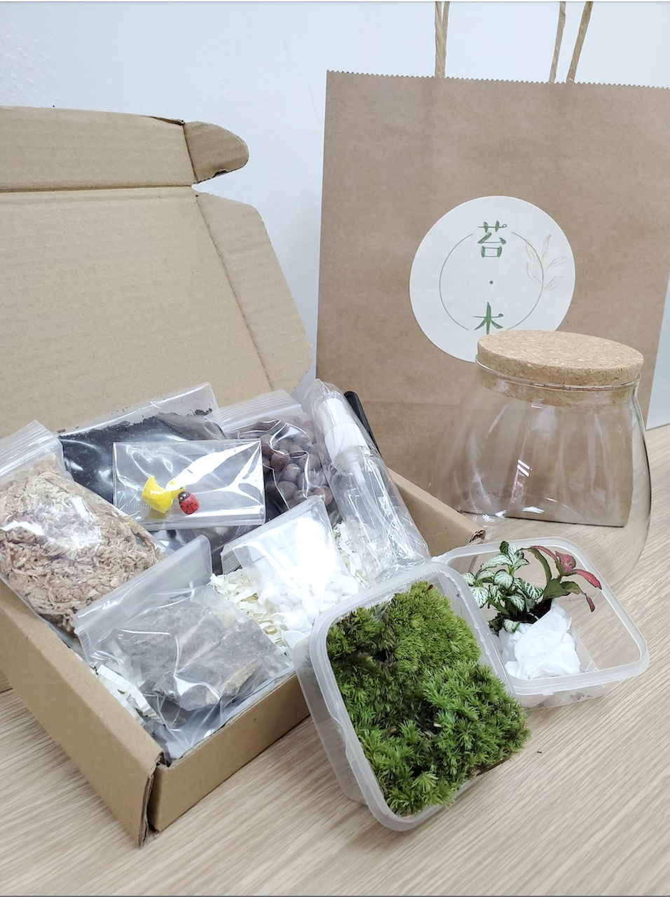 苔蘚生態瓶DIY材料包