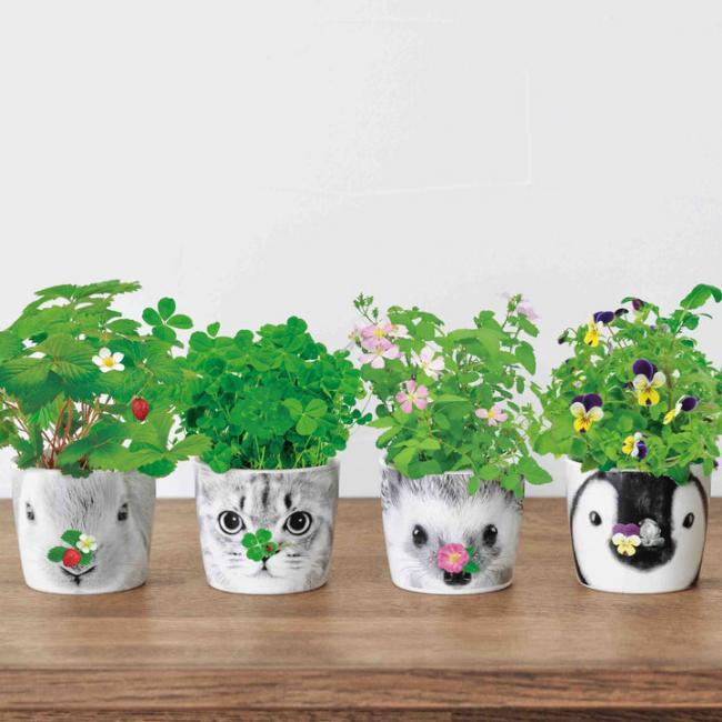 動物陶瓷杯系列