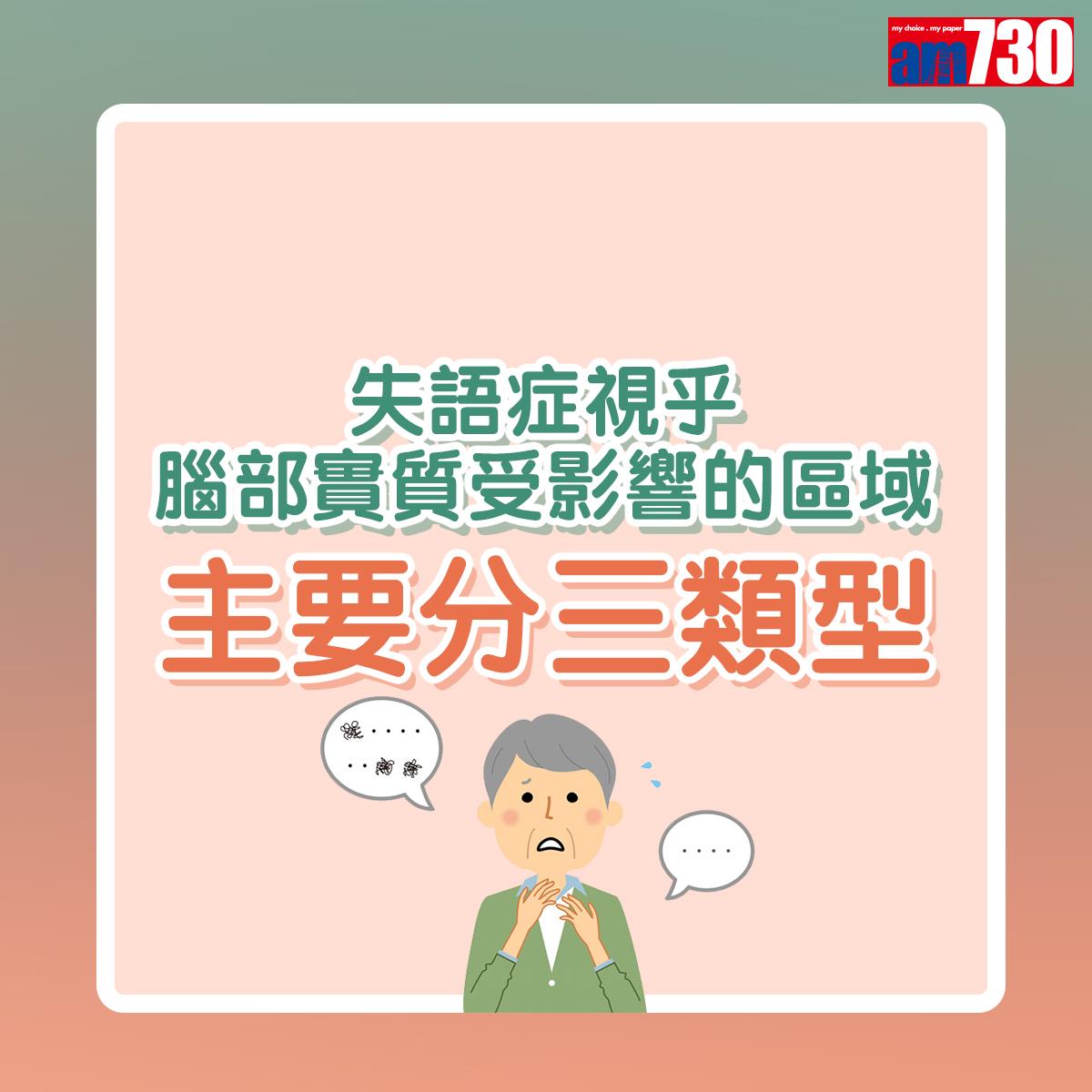 失語症視乎腦部實質受影響的區域,主要分幾大類型。