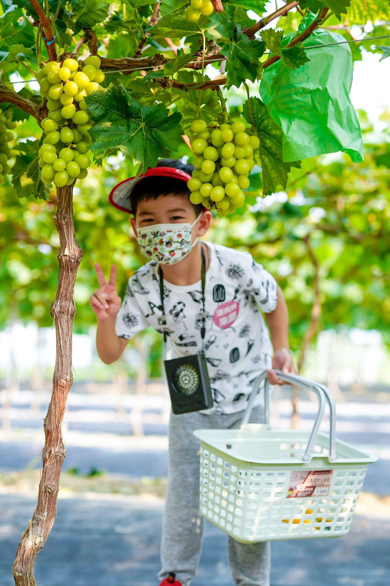 74%家長疫情停課照顧患自閉症子女感困難